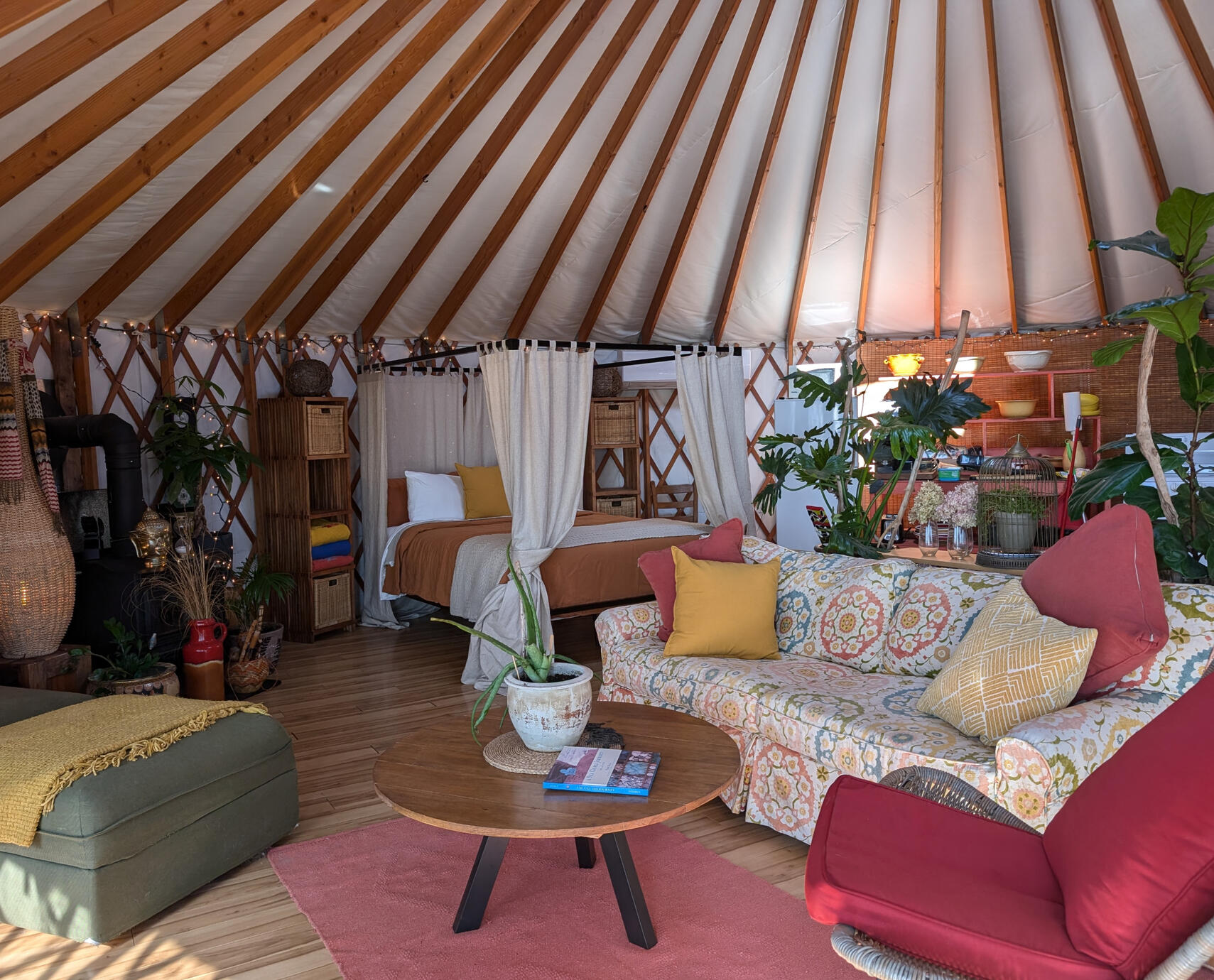 Rest and read that book that's been waiting.